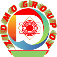 Zidmo Group Oy